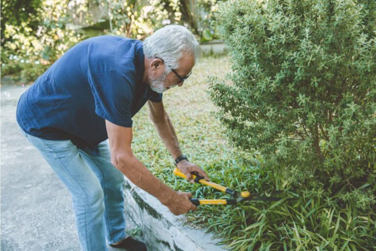 Homeowner Says Her Uncle Offered to Clear Brush Along the Property Line While Watching the House, Then Cut Down the Fruit Trees Her Late Mother Grafted Herself Years Ago