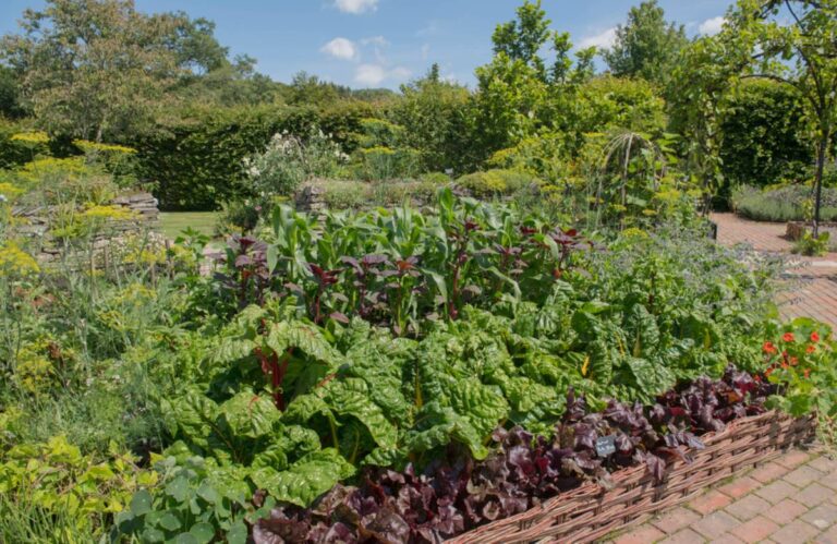 Gardener Says Her Neighbor Called Her Vegetable Garden "A Waste of a Front Yard" for Years, Then Asked to Feature It on Her Own Real Estate Listing Down the Street