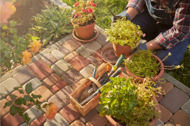 Gardener Says She Discovered Her Neighbor Has Been Taking Photos of Her Garden Signage With Pricing for a Plant Sale, Then Undercutting Her by a Dollar on Every Single Item Listed the Next Day
