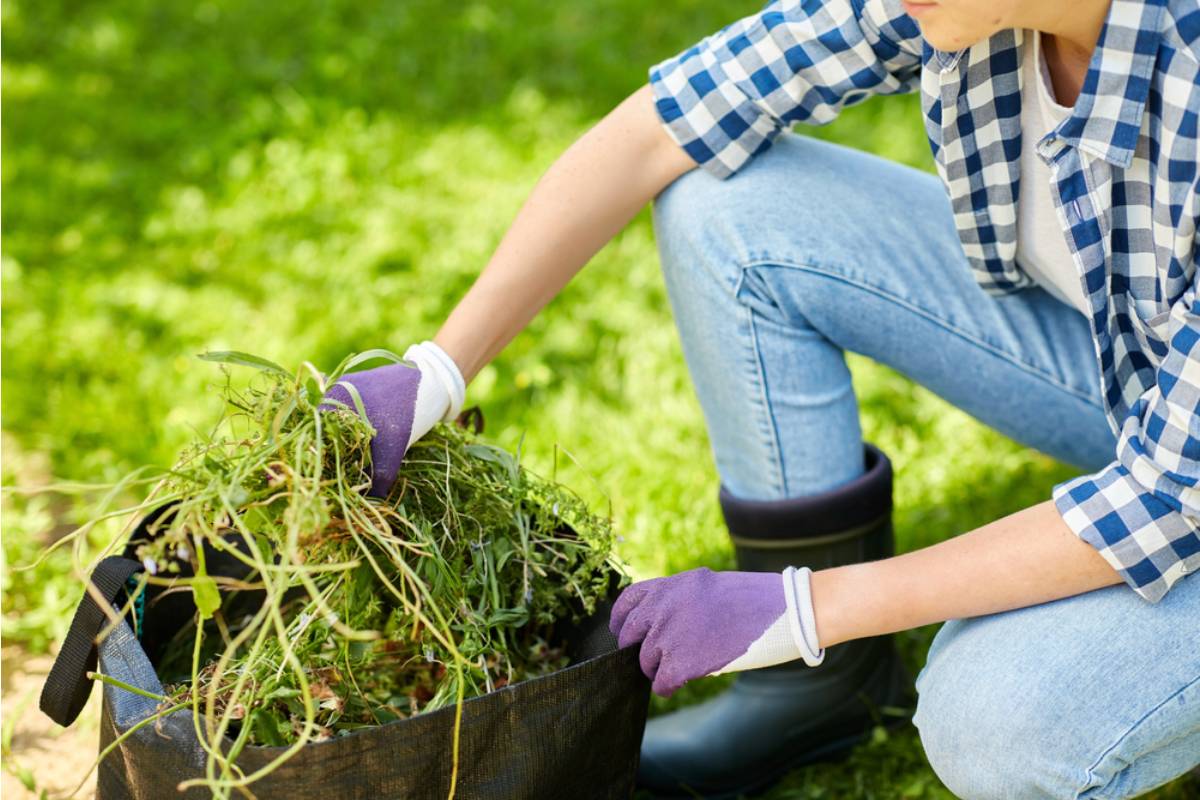 Homeowner Says Her In-Laws Spent Their Visit Digging Up "Weeds" That Turned Out to Be the Vegetables She'd Just Planted a Week Before