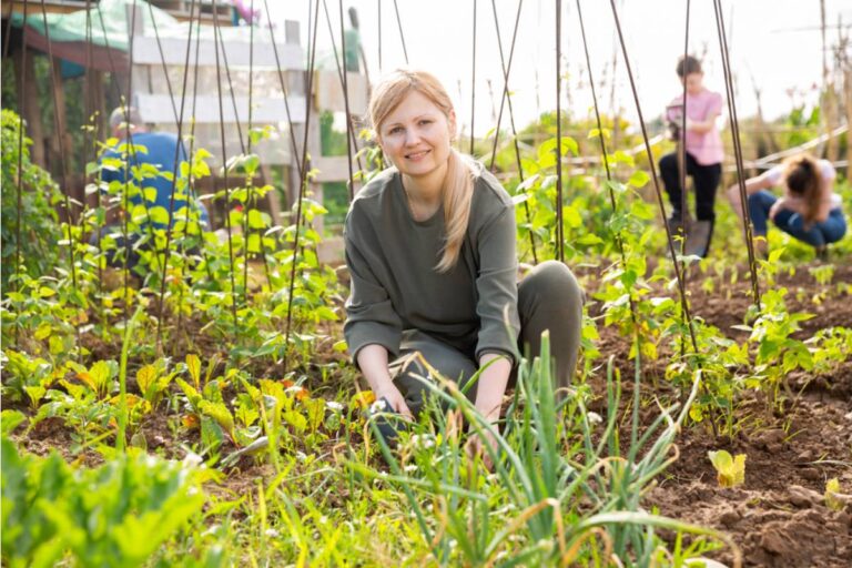 Gardener Says She Spent an Entire Summer Nursing a Community Garden Plot Back to Life After the Previous Tenant Abandoned It, Then the Original Tenant Returned and Demanded It Back Without a Word of Thanks