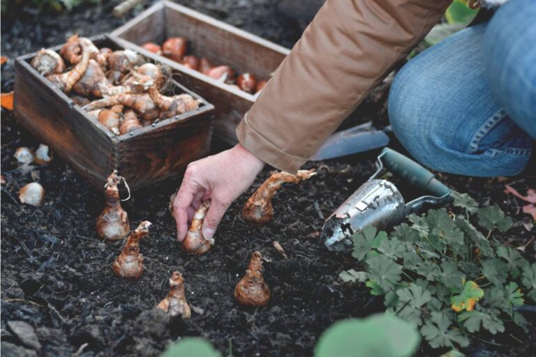 Gardener Says She Caught Her Neighbor Digging Up the Bulbs She Had Just Planted Along the Shared Border and Moving Them to His Side of the Fence, "He Said They Were Clearly Meant to Be Shared"