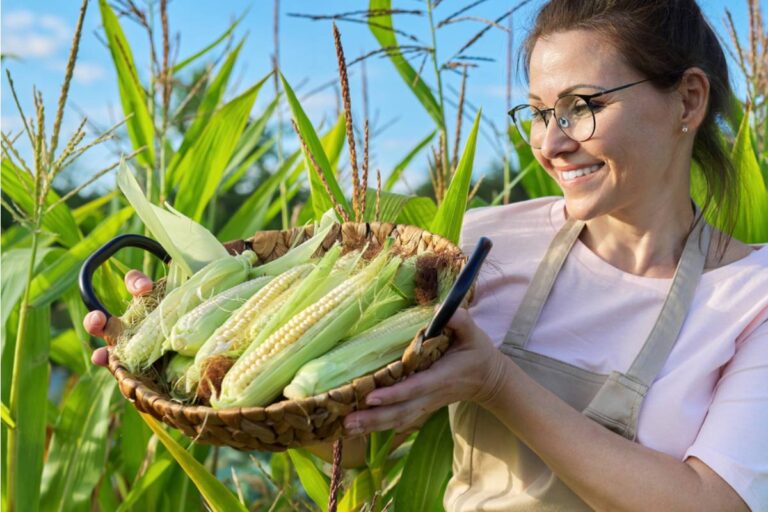 Gardener Says Her Neighbor Dismissed Her Heirloom Corn Patch as "Just Weeds" for Two Summers, Then Asked for Seeds the Moment She Saw the Harvest