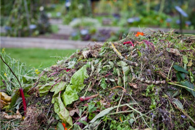 Homeowner Says His Neighbor Has Been Letting Her Roofing Crew Toss Old Shingles Over the Fence Into His Compost Pile All Week, Ruining Months of Careful Balance