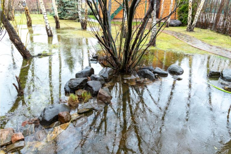 Homeowner Says His Neighbor Has Been Quietly Rerouting a Shared Drainage Ditch to Flood His Garden Instead of Her Own Lower Lying Yard