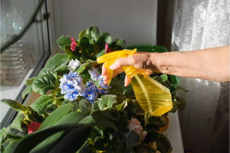 Gardener Says She Spent Two Years Growing a Cutting Garden Her Late Mother Always Wanted, Then Her Sister Asked to Dig Up Half of It for Her Own Yard