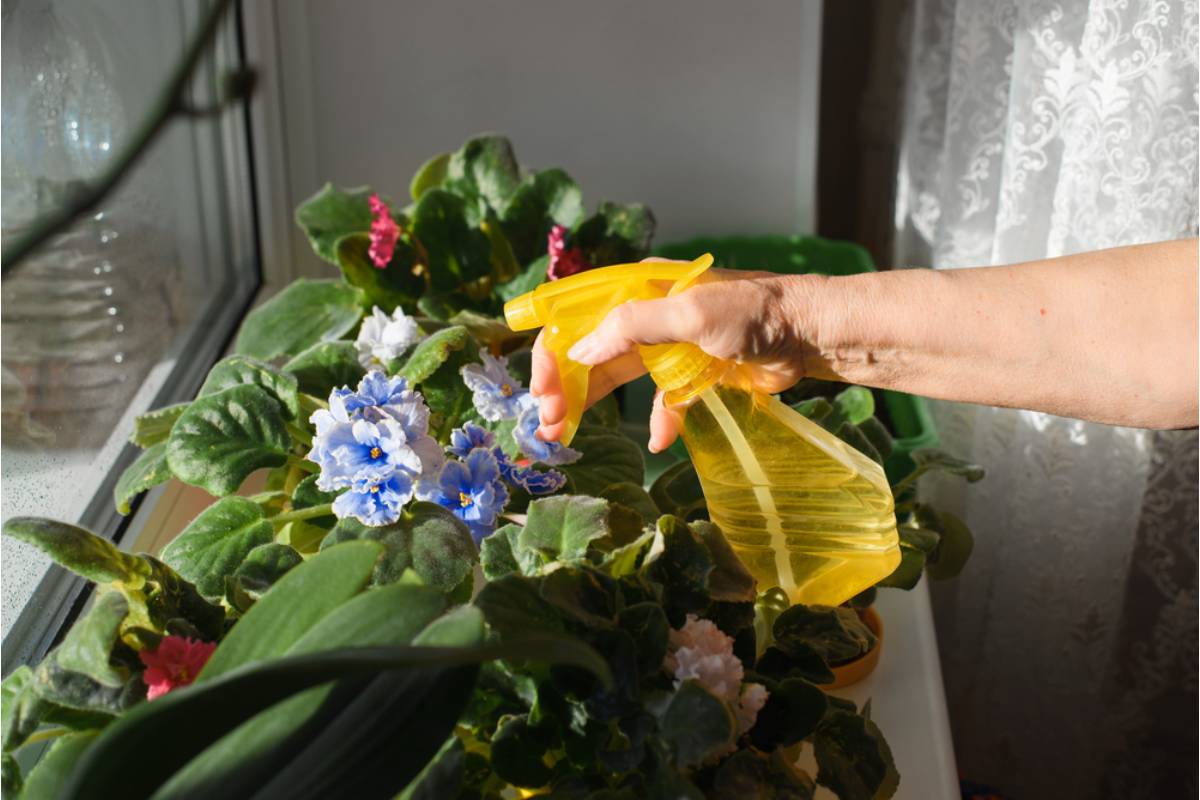 Gardener Says She Spent Two Years Growing a Cutting Garden Her Late Mother Always Wanted, Then Her Sister Asked to Dig Up Half of It for Her Own Yard
