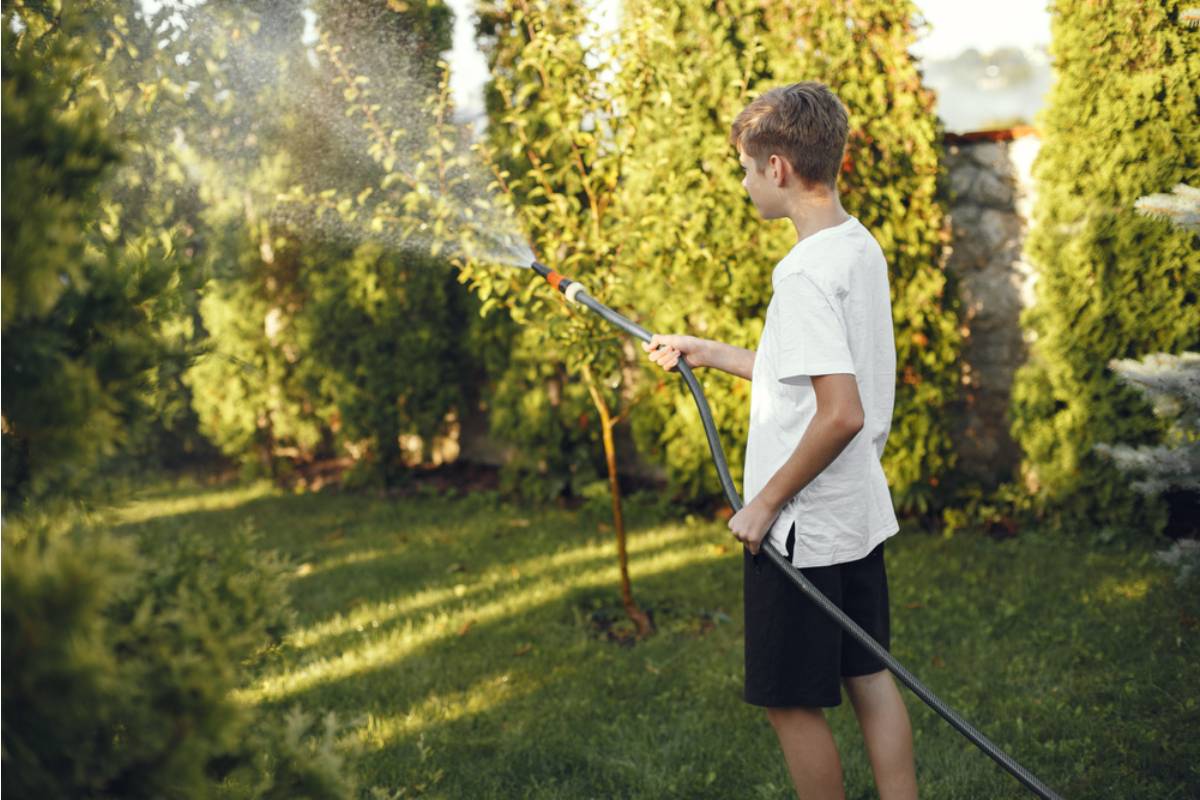 Homeowner Says Her Cousin Was Supposed to Water the Garden During a Family Emergency, Now Everything Her Late Grandmother Helped Her Plant Before She Died Is Gone