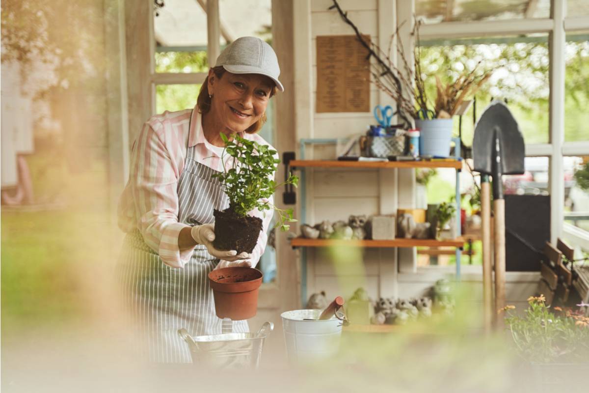 Homeowner Says Her Stepmother "Reorganized" the Garden Shed While House-Sitting, Now the Seed Collection Her Mother Started Before She Passed Is Nowhere to Be Found