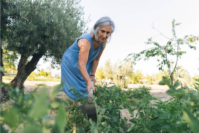 Homeowner Says Her Mother Spent a Week "Helping" After Surgery and Rearranged the Vegetable Garden Into Rows That Make No Sense for the Sunlight