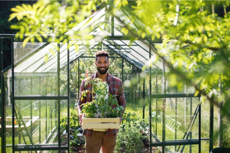 Homeowner Says Her Brother Moved In Temporarily and Immediately Took Over the Greenhouse for His Own Side Business Without Asking
