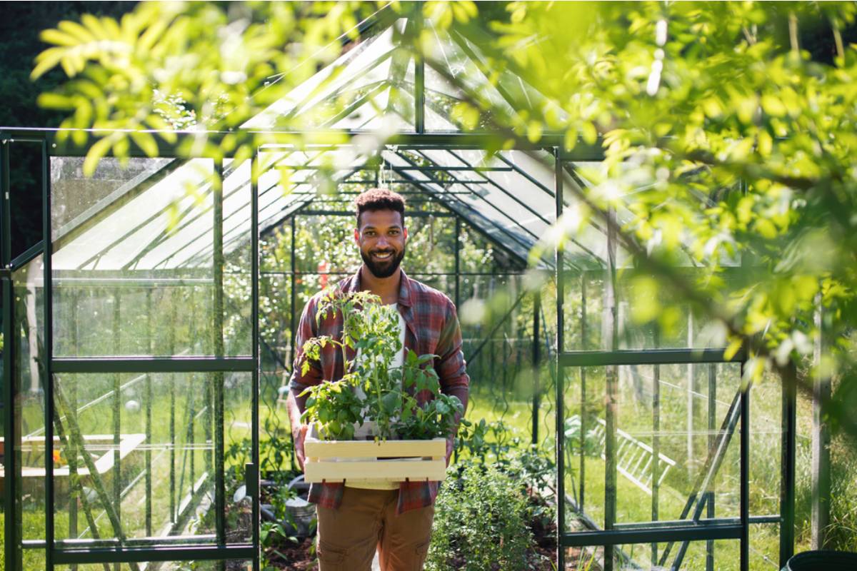 Homeowner Says Her Brother Moved In Temporarily and Immediately Took Over the Greenhouse for His Own Side Business Without Asking