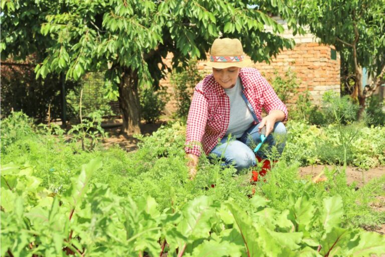Homeowner Says His Neighbor Has Been Slowly Extending Her Garden Border a Few Inches Every Year, Now an Official Survey Shows She Has Claimed Nearly a Full Foot of His Yard