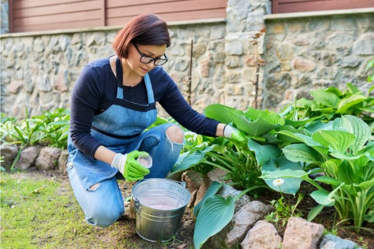 Gardener Says She Spent Two Years Growing a Vegetable Garden With Her Late Husband's Ashes Mixed Into the Soil at His Request, Then Her Neighbor's Contractor Tilled Right Through It Without Warning