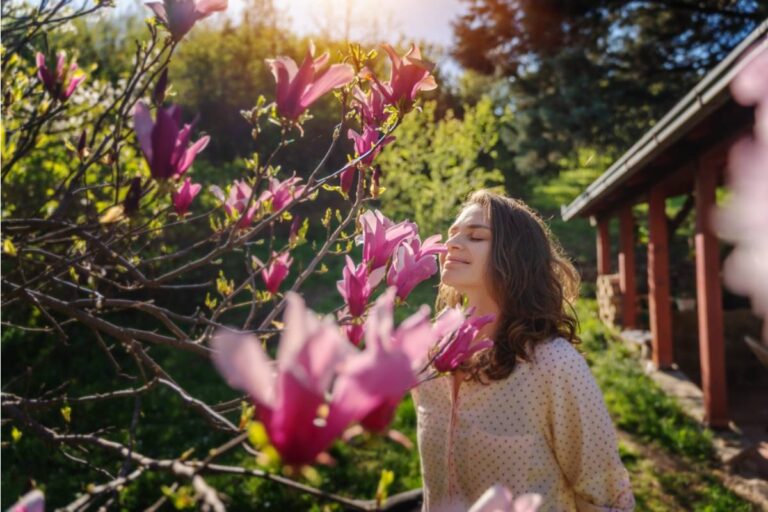 Gardener Says She Spent a Decade Growing the Magnolia Her Late Mother Planted the Day She Was Born, Then Her Cousin Wanted It Cut Down to "Open Up the Yard"