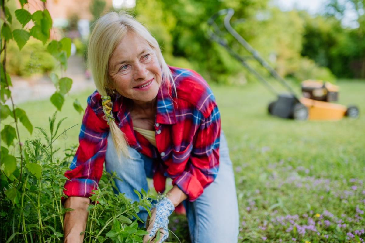 Homeowner Says Her Godmother "Helped" Weed the Garden While Babysitting, Now Every Perennial She Couldn't Identify by Name Is Gone
