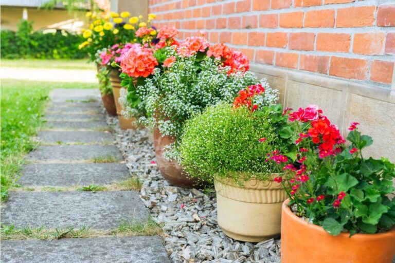 Gardener Says Her Husband's Parents Rearranged Her Entire Vegetable Garden Into "Neat Rows" While Babysitting, Now Nothing Is Where She Can Find It
