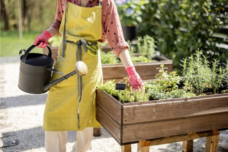 Gardener Says Her Mother-in-Law Spent the Visit "Improving" the Herb Garden, Now Every Plant She Was Growing for a Recipe Passed Down From Her Grandmother Is Gone
