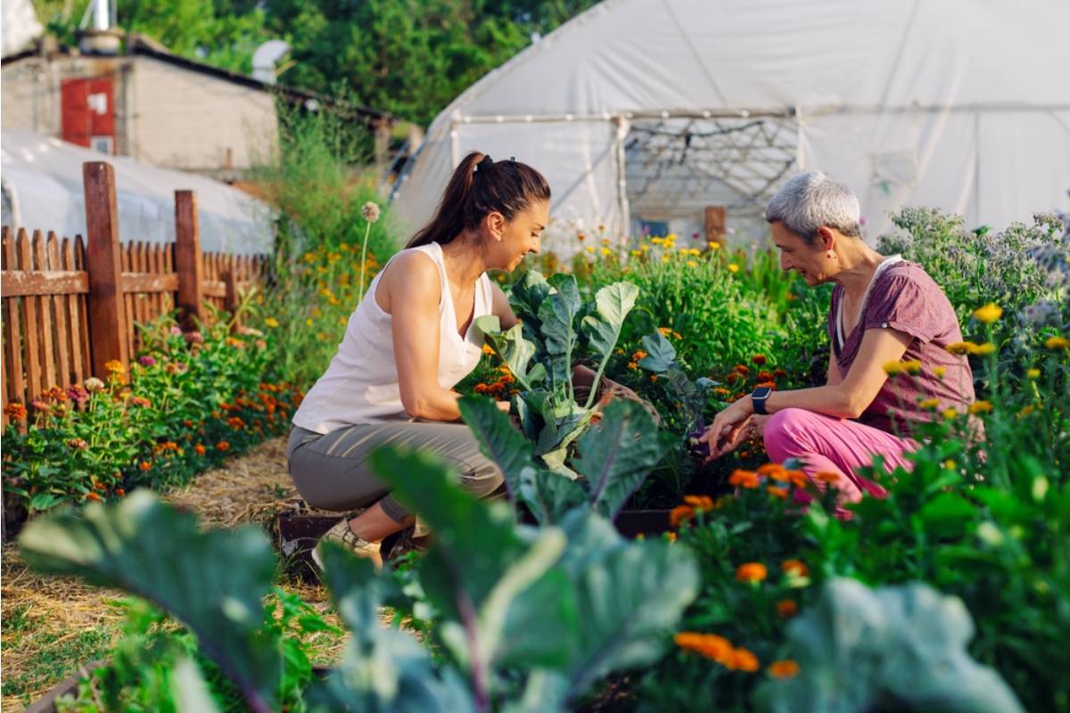 Gardener Says She Has Been Mentoring a Neighbor Through Her First Vegetable Garden All Season for Free, Then Found Out She's Been Telling People She "Doesn't Need Help From Anyone"