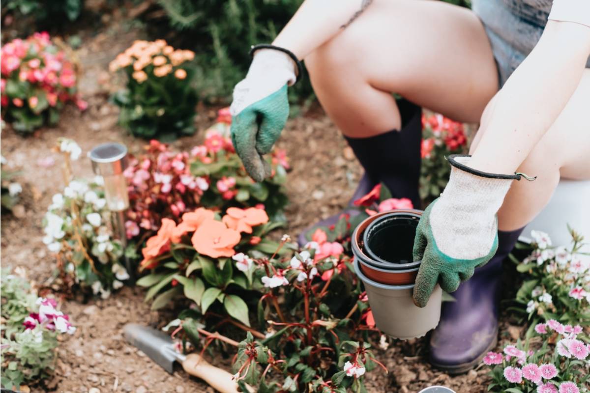 Gardener Says She Discovered a Neighbor Has Been Digging Up Her Spring Bulbs Every Fall to Force Them Into Bloom Early for Her Own Front Porch Display