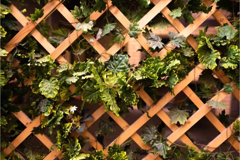Homeowner Says His Neighbor Has Been Insisting for a Year That His Garden Trellis Blocks Her Driveway View, Then Built an Identical One on Her Own Property Facing the Street
