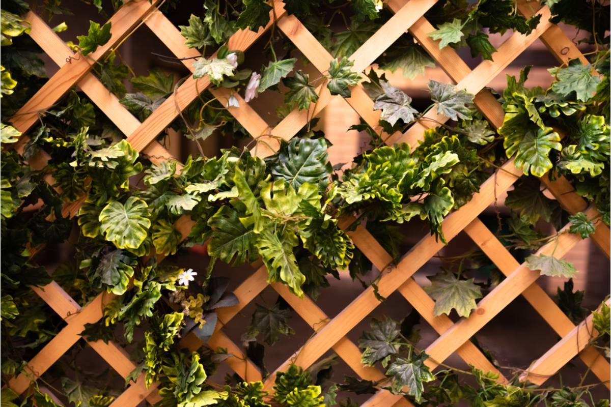 Homeowner Says His Neighbor Has Been Insisting for a Year That His Garden Trellis Blocks Her Driveway View, Then Built an Identical One on Her Own Property Facing the Street