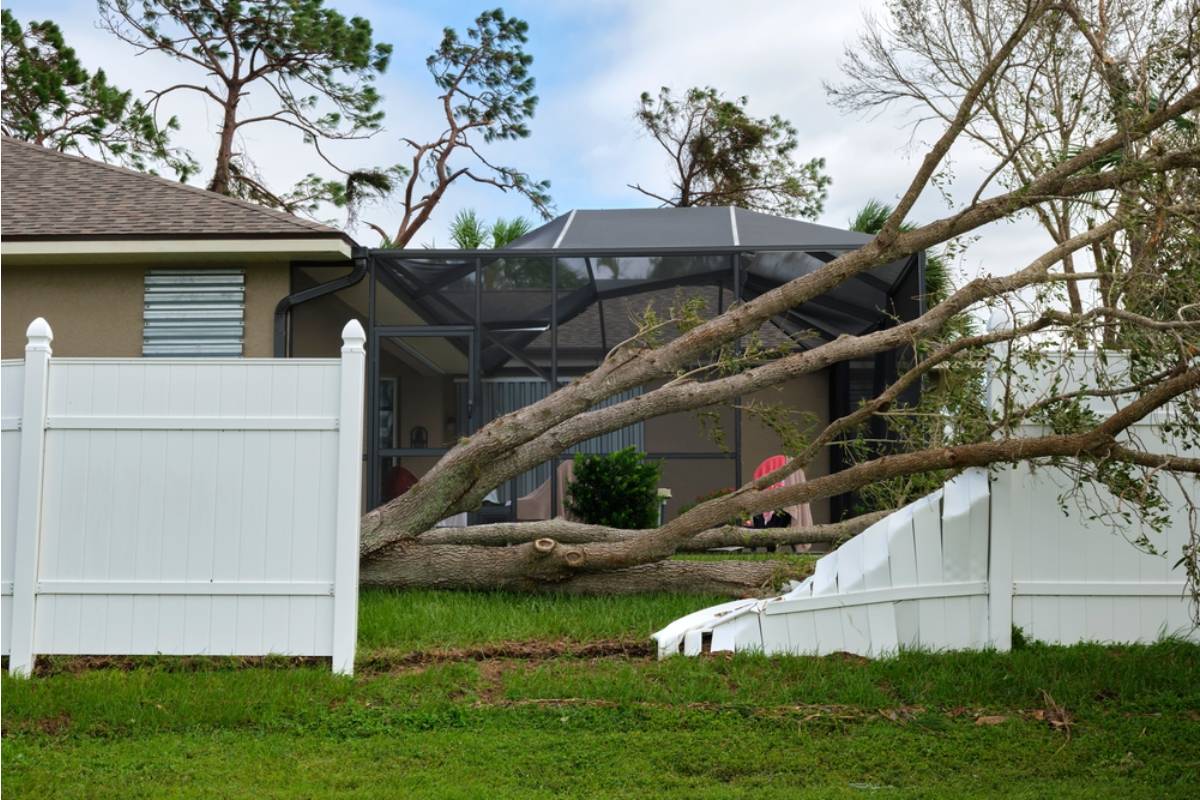 Homeowner Says His Insurance Company Denied a Claim for Storm Damage to His Garden, Calling the Raised Beds "Unpermitted Structures" After Years of Coverage