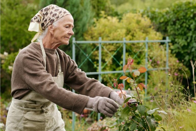 Homeowner Says Her Mother Spent the Weekend "Helping" With the Garden, Now the Rare Seedlings She Was Saving for a Swap Are Nowhere to Be Found