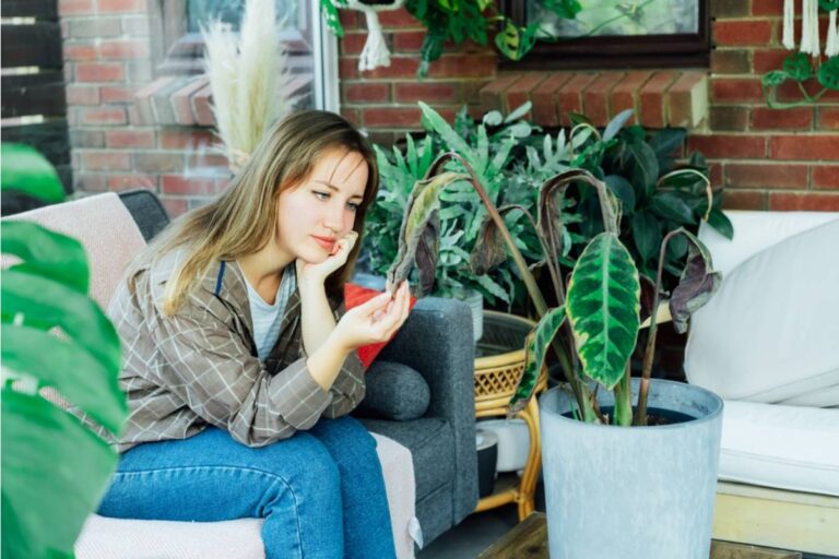 Homeowner Says Her Nephew Was Left in Charge of Watering During Vacation, Now Half the Garden Her Mother Helped Her Plant Before Passing Is Dead