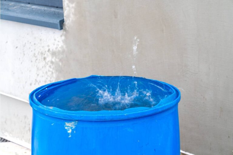 Homeowner Says His Neighbor Has Been Insisting for Months That His Rain Barrels Are Breeding Mosquitoes, Then Asked to Fill Her Own Watering Cans From Them During the Recent Drought