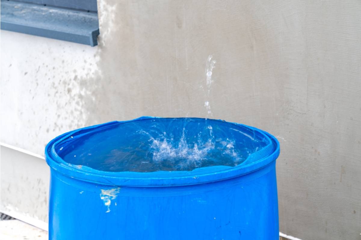 Homeowner Says His Neighbor Has Been Insisting for Months That His Rain Barrels Are Breeding Mosquitoes, Then Asked to Fill Her Own Watering Cans From Them During the Recent Drought