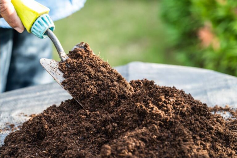 Homeowner Says His Neighbor Convinced the Whole Street to Go in on a Shared Bulk Soil Order, Collected Everyone's Money, Then Placed the Order Only for His Own Yard and Stopped Answering His Phone