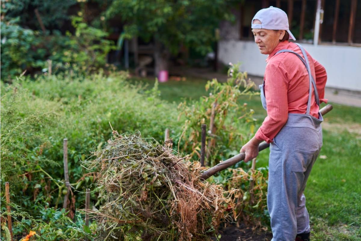 Gardener Says She's Been Hosting a Free Community Composting Drop-Off in Her Driveway for Two Years, Then a Neighbor Reported It as an Illegal Business Operating Without a License