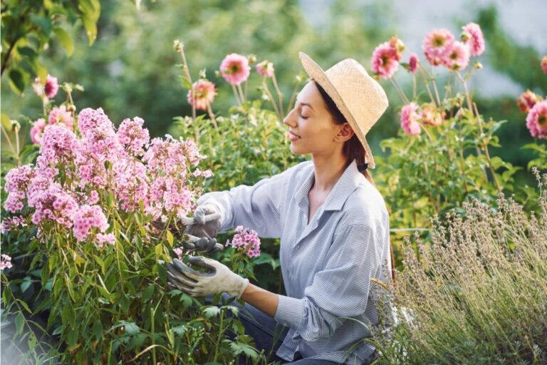 Gardener Says She Spent Three Seasons Growing a Butterfly Garden as Therapy After a Difficult Diagnosis, Then Her Neighbor Complained It Was "Attracting Bugs" and Got the City Involved