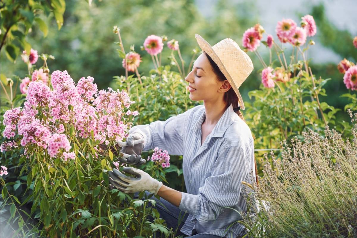 Gardener Says She Spent Three Seasons Growing a Butterfly Garden as Therapy After a Difficult Diagnosis, Then Her Neighbor Complained It Was "Attracting Bugs" and Got the City Involved