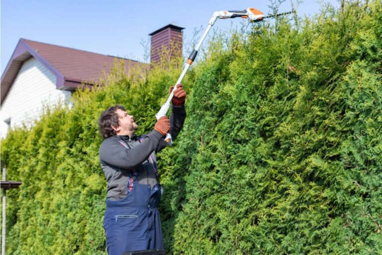 Gardener Says She Spent Three Years Growing a Hedge That Finally Gave Her Full Backyard Privacy, Then the City Sent a Notice Saying Her Neighbor Had Reported It as a Fire Risk and It Had to Come Down Within Thirty Days