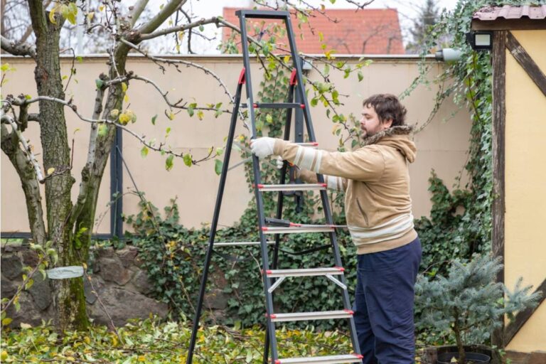Gardener Says Her Neighbor Asked to Borrow Her Ladder to Trim a Tree, Then Used It to Reach Over the Fence and Take Cuttings From Every Rare Plant She Owns