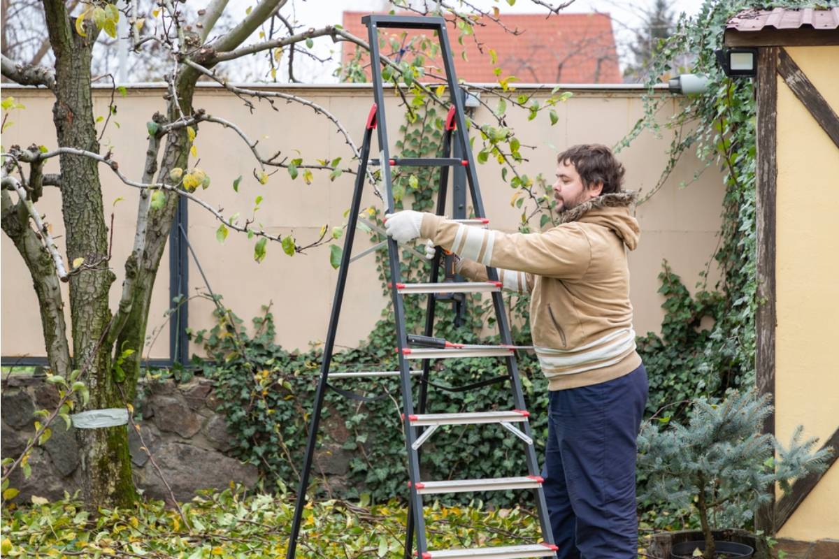 Gardener Says Her Neighbor Asked to Borrow Her Ladder to Trim a Tree, Then Used It to Reach Over the Fence and Take Cuttings From Every Rare Plant She Owns