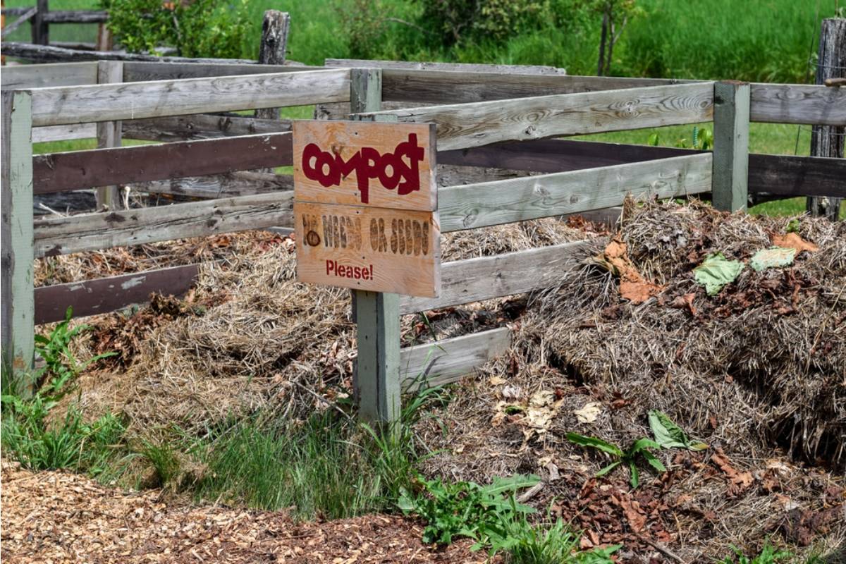 Homeowner Says Her Neighbor Called the City Over Her Compost Pile for Two Summers, Then Quietly Started One of Her Own the Moment Restrictions Were Lifted