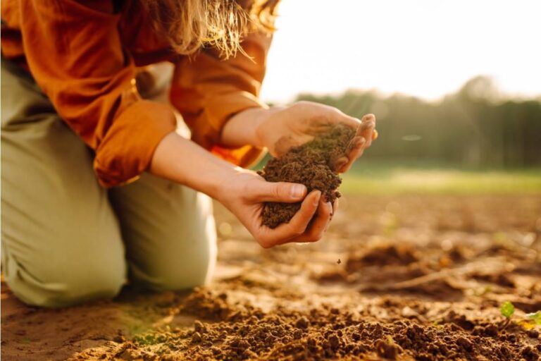 Homeowner Says His Neighbor Has Been Quietly Poisoning the Soil Along Their Shared Border for Years, Only Discovered After a Soil Test Ordered for an Unrelated Home Sale