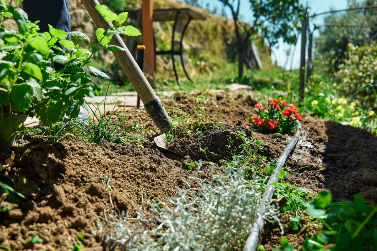 Homeowner Says His Neighbor Has Been Slowly Taking Over the Community Garden's Best Sunlit Plot by Extending His Border a Little Further Every Spring, Now Longtime Members Are Fed Up
