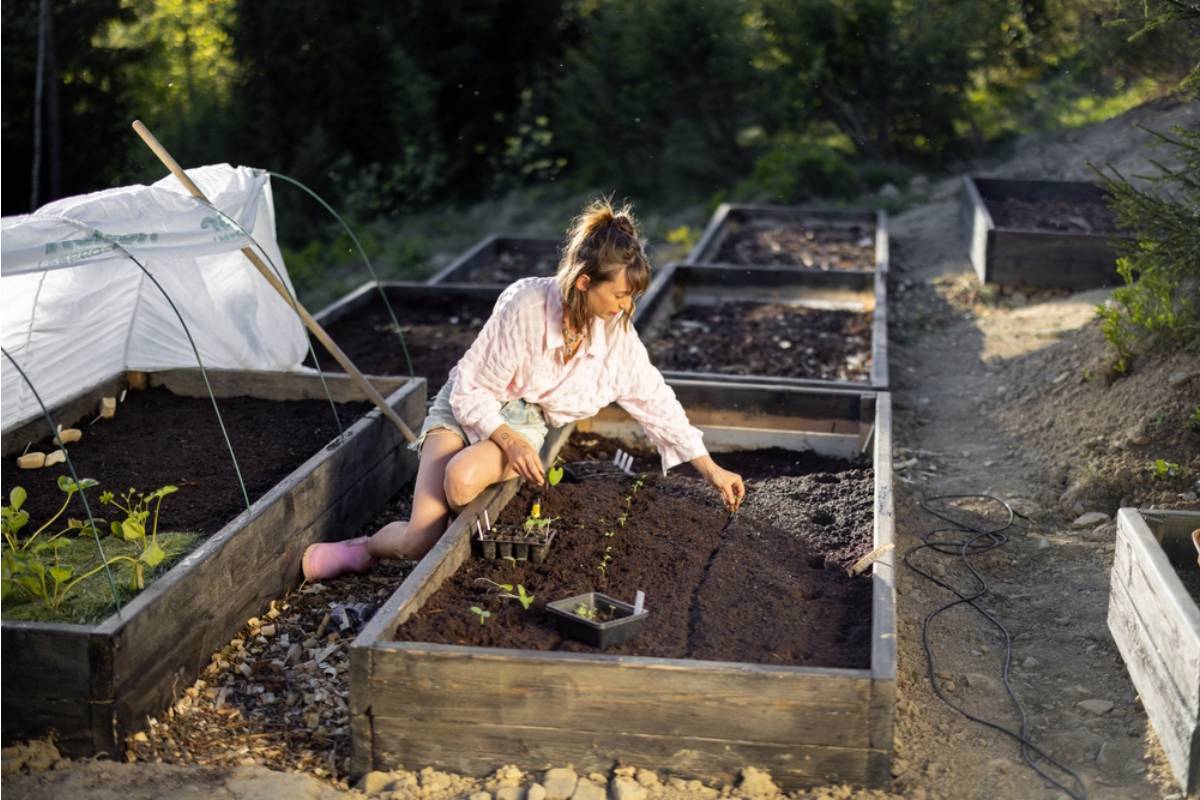Homeowner Says His Neighbor Insisted His Above Ground Garden Beds Violated a Setback Rule, Then Filed the Exact Same Beds Under a Different Name for a City Grant Program