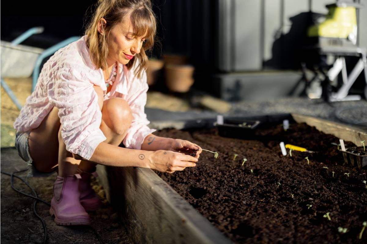 Gardener Says Her Sister Moved In "Temporarily" After a Divorce and Took Over Half the Garden Beds for Her Own Flowers Without Ever Asking