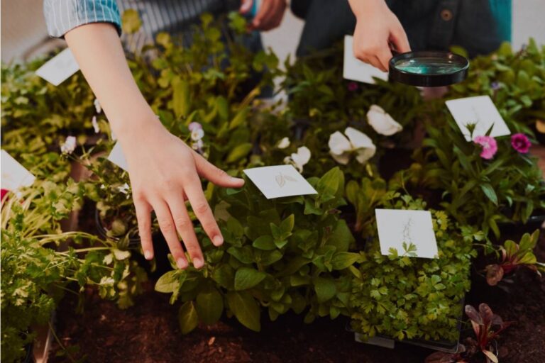 Gardener Says She Discovered a Neighbor Has Been Removing Her Garden Identification Tags Every Time She Labels a New Plant, Then Reselling Cuttings as "Mystery Varieties" at a Markup