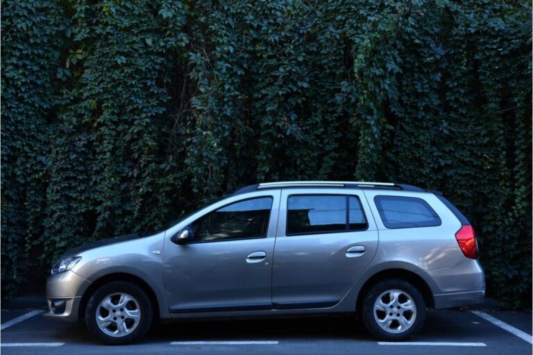 Homeowner Says His Neighbor Has Been Charging His Own Guests to Park in Front of the Shared Garden Wall, Then Blaming Any Plant Damage on Careless Drivers Who Were Never There