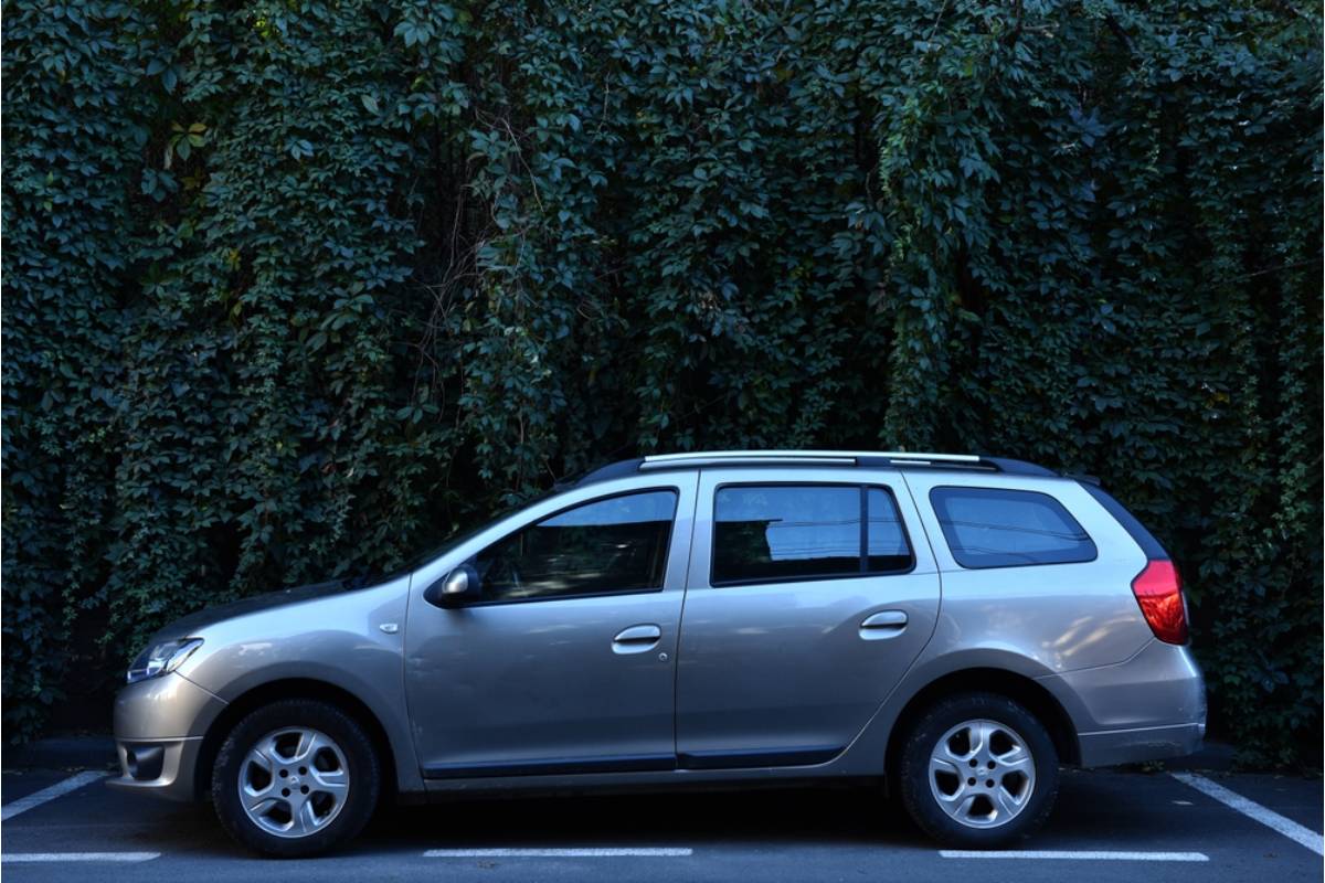 Homeowner Says His Neighbor Has Been Charging His Own Guests to Park in Front of the Shared Garden Wall, Then Blaming Any Plant Damage on Careless Drivers Who Were Never There