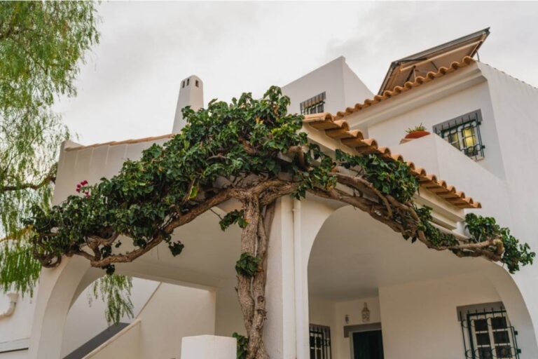 Gardener Says She Spent Three Years Growing a Vine-Covered Arbor as an Anniversary Gift for Her Husband, Then Her Neighbor's Fence Company Tore It Down "By Accident" While Replacing the Shared Panel