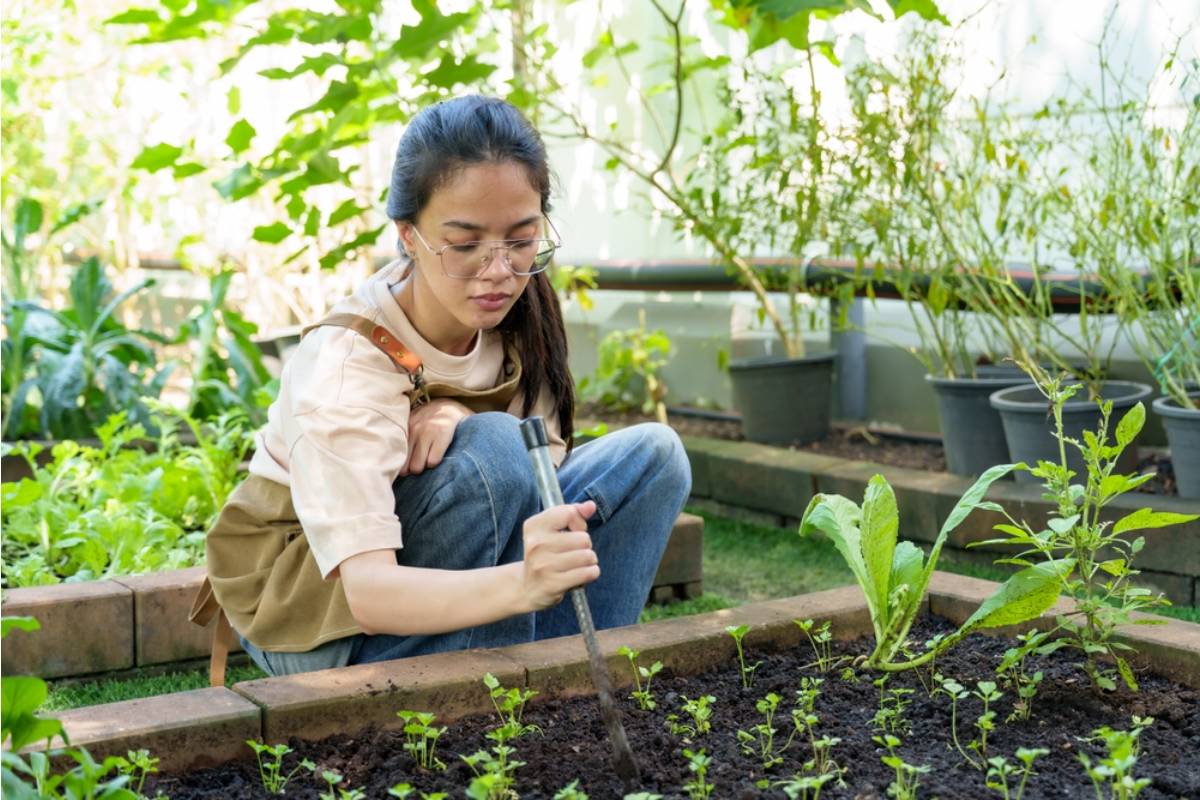 Homeowner Says Her Sister Has Been Taking Credit for the Family Vegetable Garden at Every Holiday Gathering for Three Years, Now She Has Started an Instagram Page About It Without Mentioning Her Once