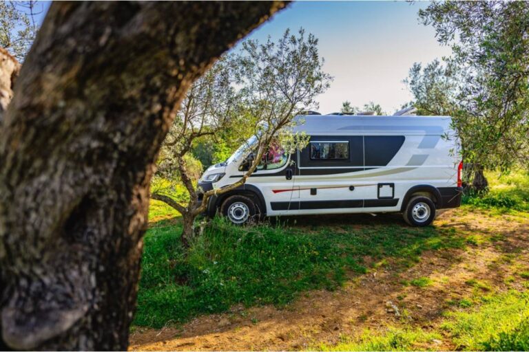 Homeowner Says His Neighbor Has Been Letting Her Cleaning Crew Park Directly on Top of His Garden Bed Every Week, Claiming There Is Nowhere Else on the Street to Leave the Van