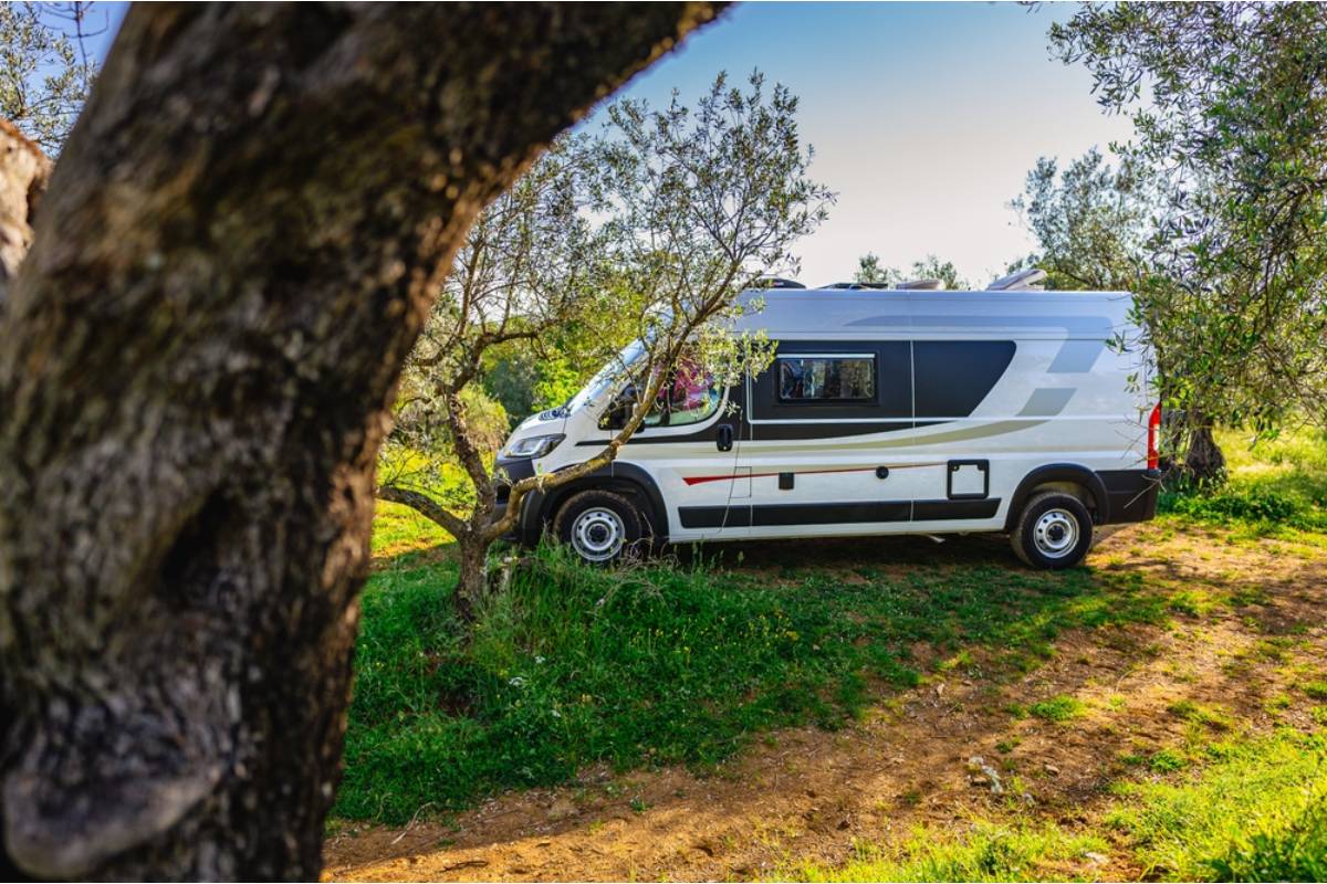 Homeowner Says His Neighbor Has Been Letting Her Cleaning Crew Park Directly on Top of His Garden Bed Every Week, Claiming There Is Nowhere Else on the Street to Leave the Van